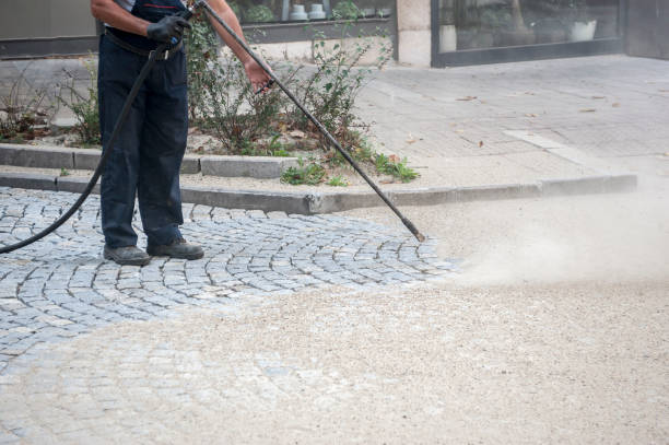 Best Dumpster Area Cleaning  in Flagstaff, AZ